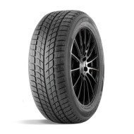 Шины DoubleStar  235/55/20  H 102 DW09 Шины DoubleStar  235/55/20  H 102 DW09