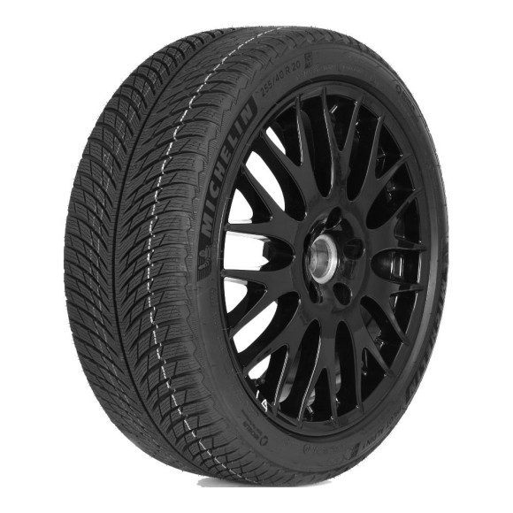 Шины Michelin  275/50/21  V 113 PILOT ALPIN 5  XL Шины Michelin  275/50/21  V 113 PILOT ALPIN 5  XL